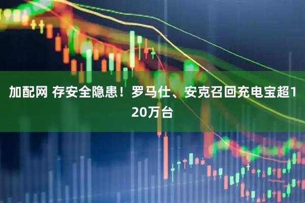 加配网 存安全隐患！罗马仕、安克召回充电宝超120万台